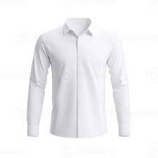 Classic White Shirt